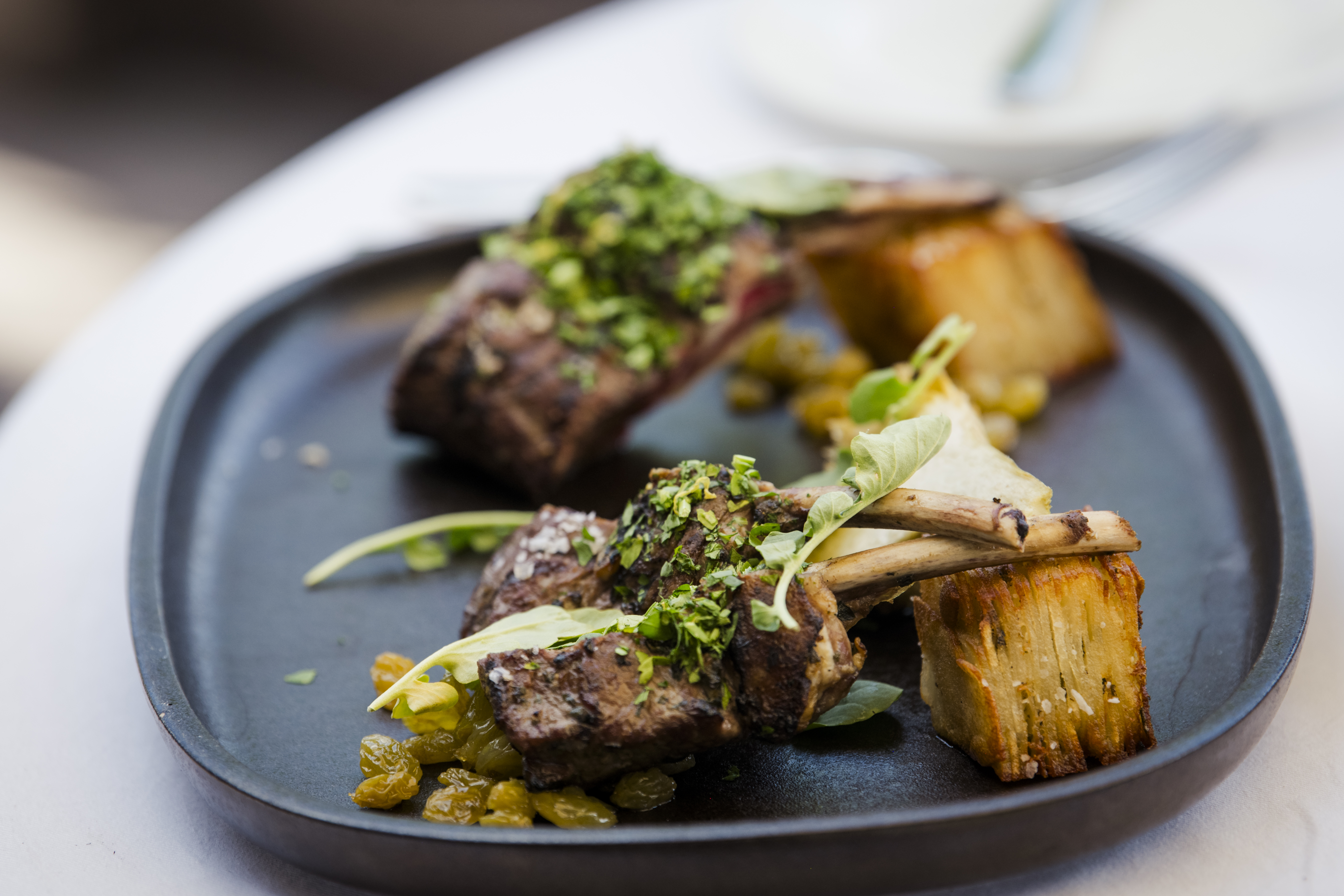 svr_dev_khalsa_food_the-ram-summer-2025_171.jpg